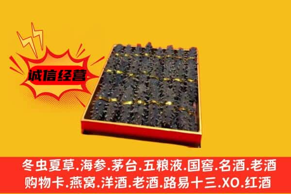 绥化市望奎回收海参